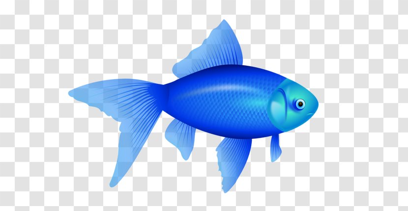 Desktop Wallpaper Clip Art - Jpeg 2000 - Fish Transparent PNG