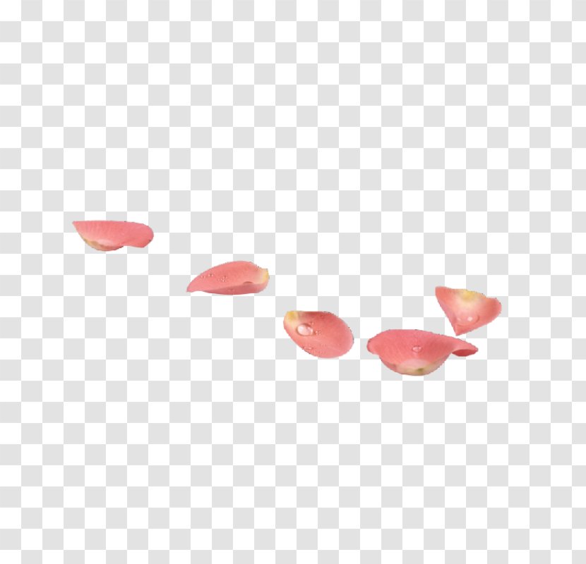 Petal Flower Pink Clip Art Transparent PNG