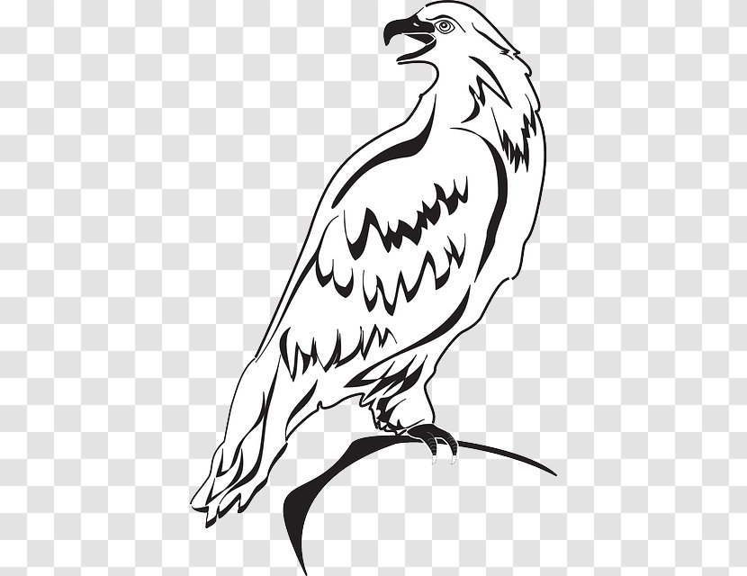 Clip Art Bald Eagle Drawing Openclipart - Artwork Transparent PNG