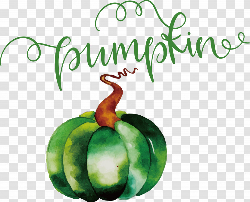 Pumpkin Transparent PNG