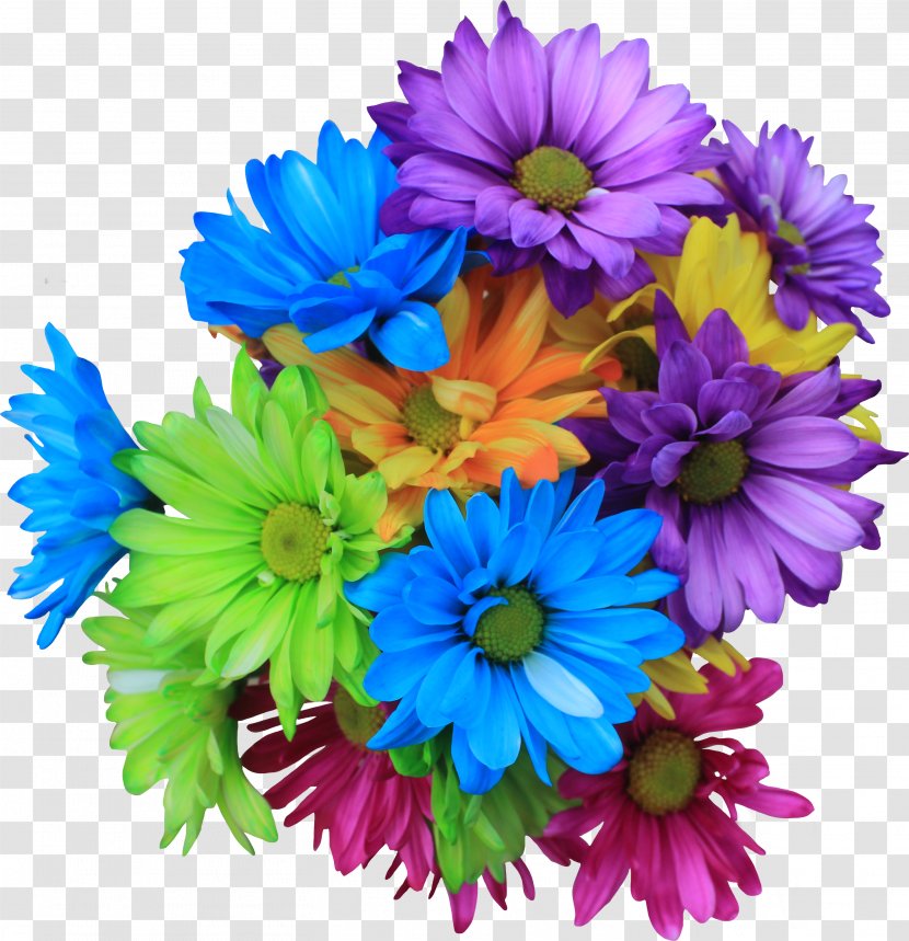 Flower Bouquet Blue Clip Art - Daisy Family Transparent PNG