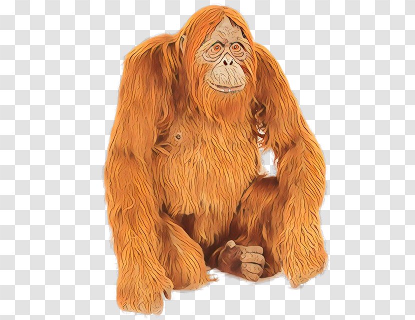 Orangutan Great Apes Figurine - Chewbacca - Animal Figure Transparent PNG