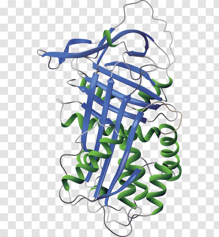 Alpha-1-proteinase Inhibitor Alpha 1-antitrypsin Deficiency Liver Disease - 1antitrypsin Transparent PNG