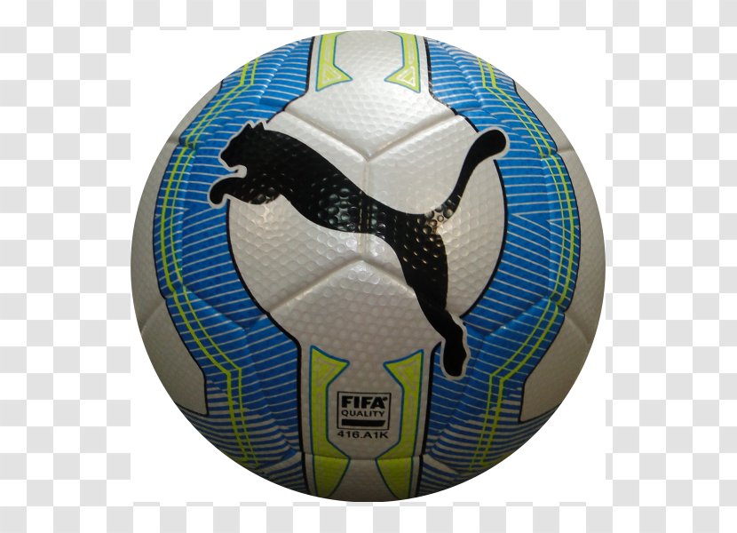 Football Boot Puma EvoPower Vigor 3.3 Tournament - Futsal Transparent PNG