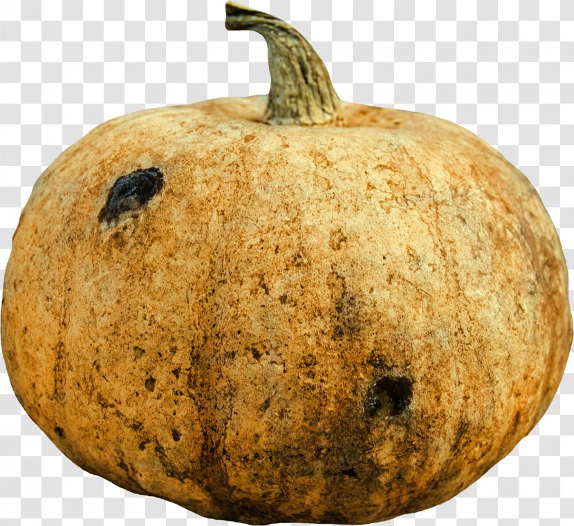 Pumpkin Calabaza Winter Squash Gourd Cucurbita - Commodity Transparent PNG