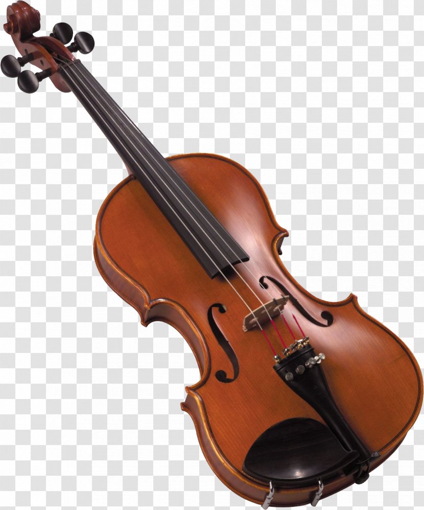 Violin Musical Instrument Bow - Tree Transparent PNG