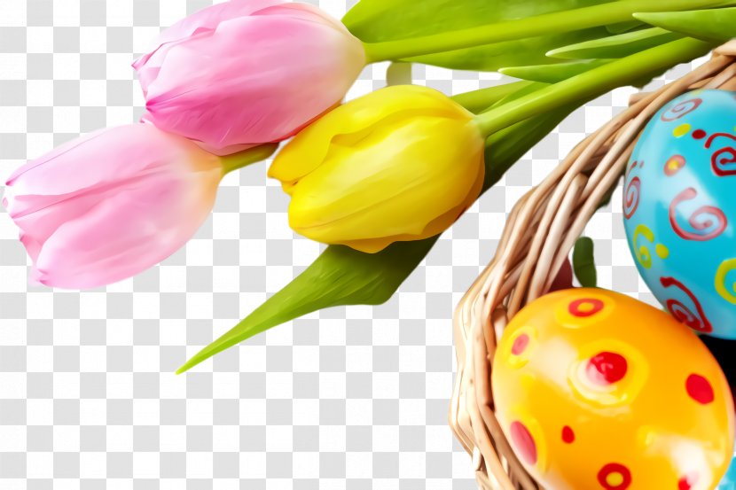 Easter Egg - Food - Lily Family Transparent PNG