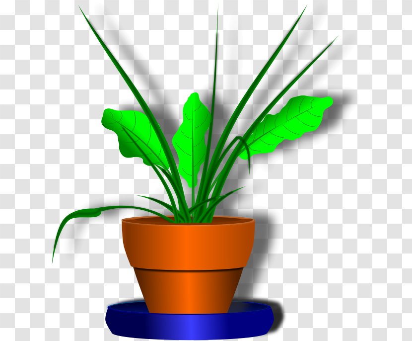 Houseplant Clip Art - Flower - Flowerpot Transparent PNG