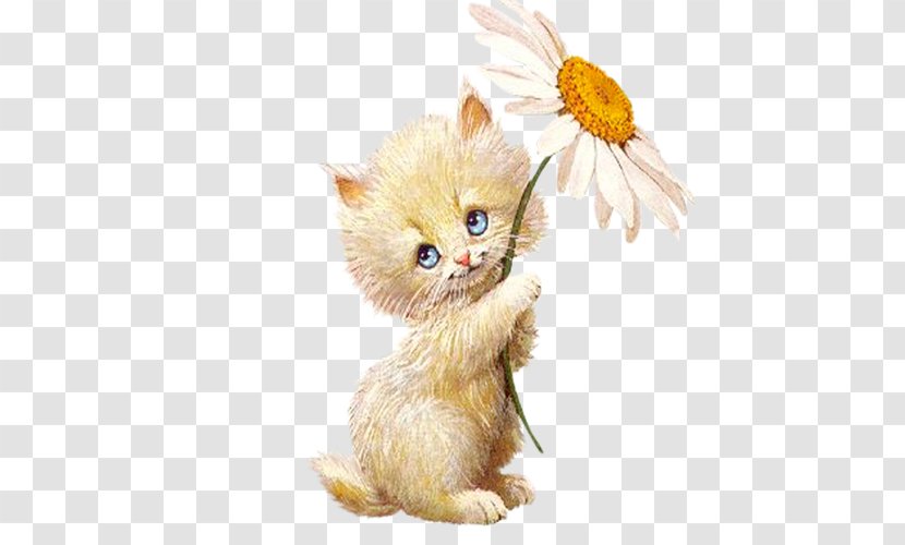 Animation Wallpaper - Kitten Transparent PNG