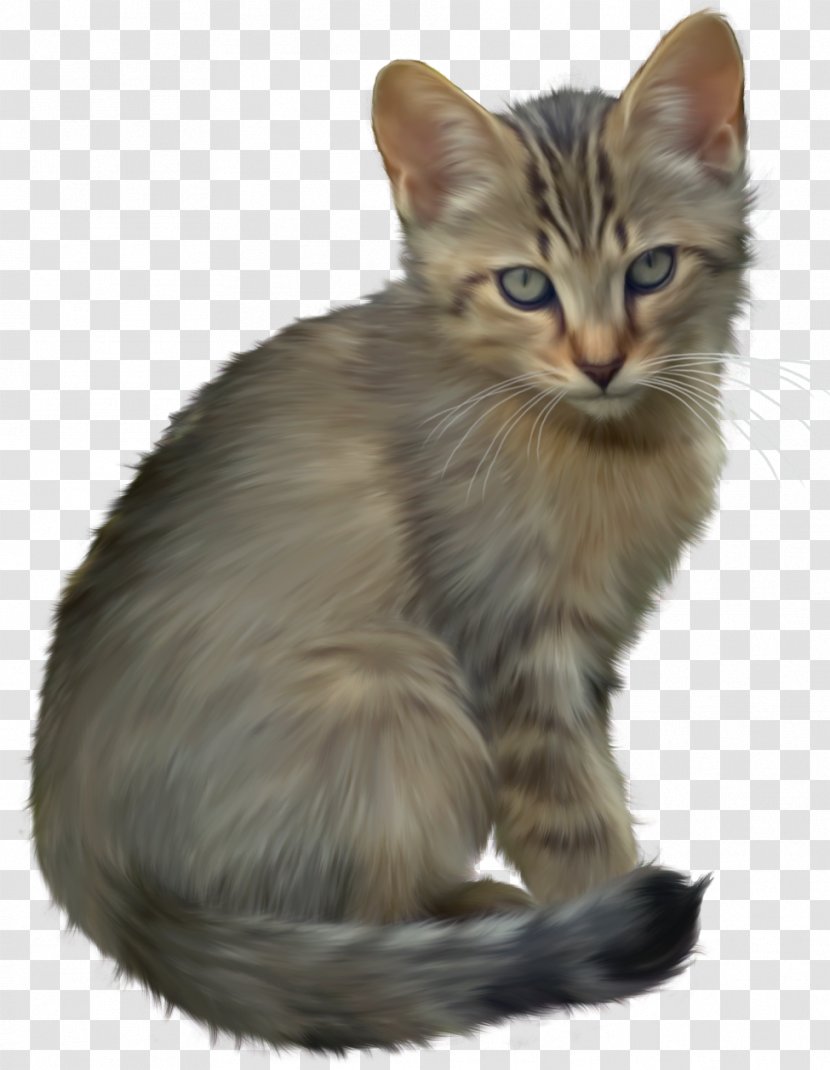 Kitten Cat Cuteness Clip Art - Tail - Transparent Transparent PNG