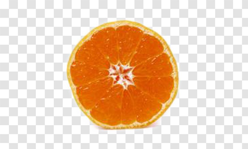 Tangerine Blood Orange Tangelo Clementine - Valencia - Brother Circle Transparent PNG