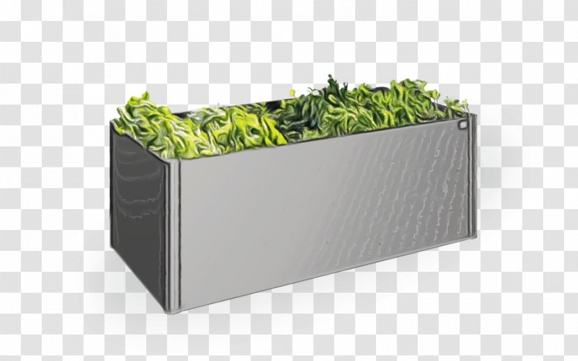 Green Background Frame - Grass - Herb Shrub Transparent PNG