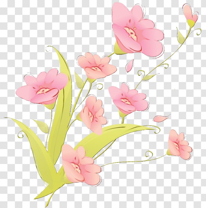 Clip Art Flower Floral Design Rose - Flowering Plant - Botany Transparent PNG