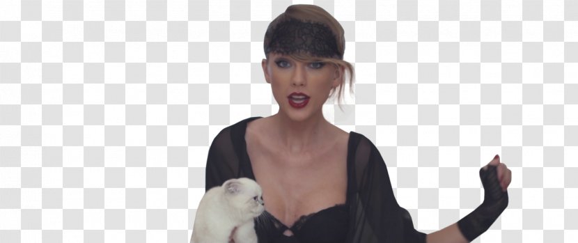 Blank Space PhotoScape - Cartoon - Taylor Swift Transparent PNG