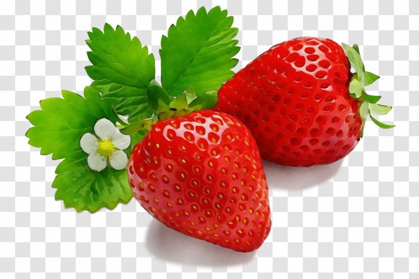 Strawberry - Strawberries - Superfood Accessory Fruit Transparent PNG