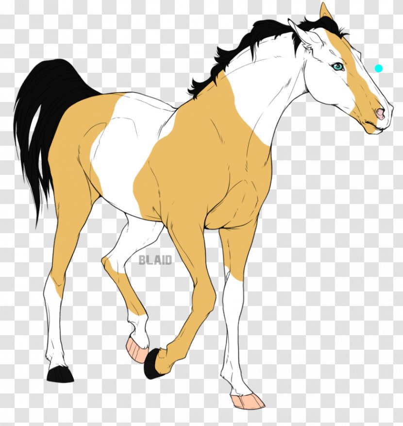 Mustang Foal Halter Stallion Colt - Horse Supplies Transparent PNG