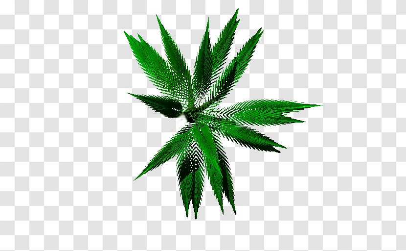 Cannabis Hemp Tree Leaf - Plant Transparent PNG