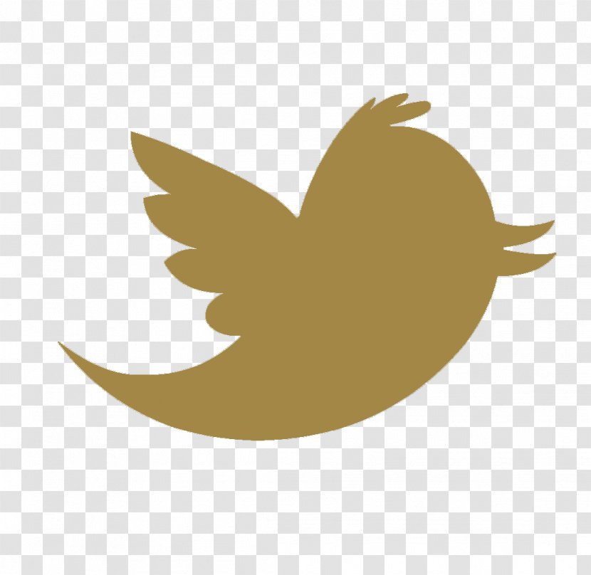 Clip Art Logo Vector Graphics Image - Beak - Twitter Bird Cutout Transparent PNG