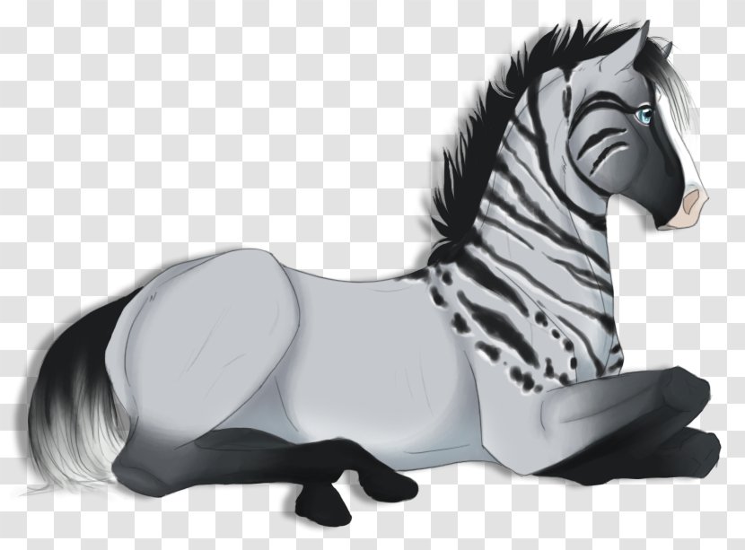 Quagga Zebra Wildlife - Animal Transparent PNG
