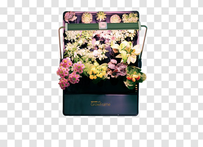 Hydroponics Hydroponic Gardening Flowerpot - Bauernhof - Grow Boxes For Vegetables Transparent PNG