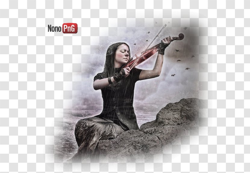 Woman With Violin String Instruments Guestbook Musical Transparent PNG