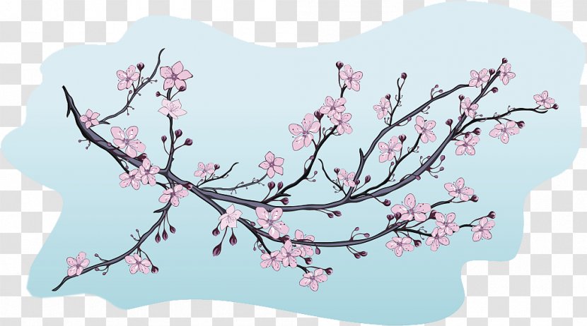 Cherry Blossom Illustration - Decorative Illustrations Of Buds Transparent PNG