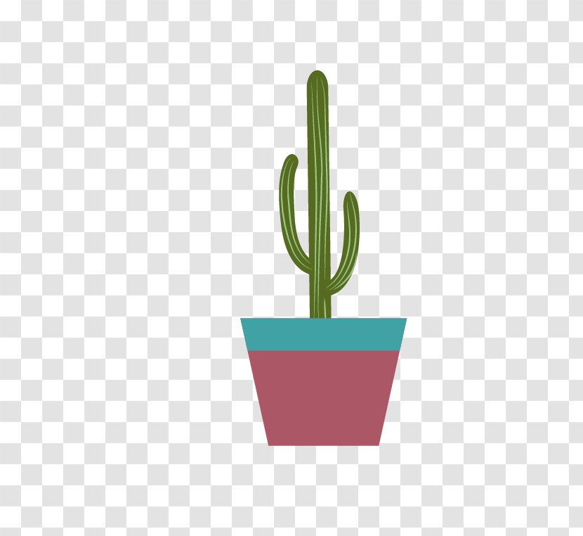 Cactaceae Echinopsis Oxygona Plant Euclidean Vector - Cactus Transparent PNG