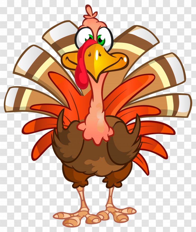 Turkey Thanksgiving Dinner Clip Art - Poultry - Transparent Image Transparent PNG