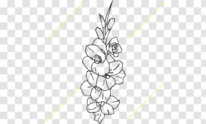 Flower Drawing Gladiolus Clip Art - Heart Transparent PNG
