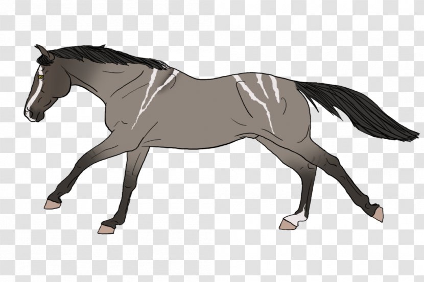 Mustang Mane Mare Rein Stallion - Line Art Transparent PNG