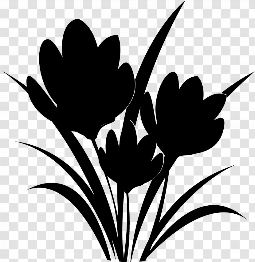 Tulip Clip Art Plant Stem Leaf Desktop Wallpaper - Blackandwhite - Monochrome Transparent PNG