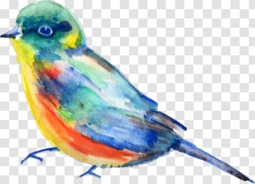 Bird Beak Mountain Bluebird Songbird - Watercolor Paint Finch Transparent PNG