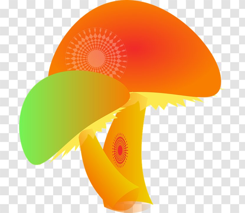 Guide To Western Mushrooms Psilocybin Mushroom Common Clip Art - Color Transparent PNG