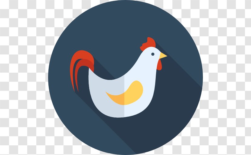 Chicken Clip Art - Bird - Rooster Transparent PNG