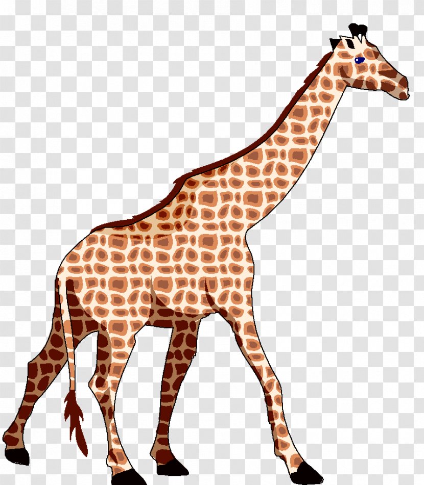 Northern Giraffe Neck Flashcard Bracelet - Giraffidae - Geraffe Transparent PNG