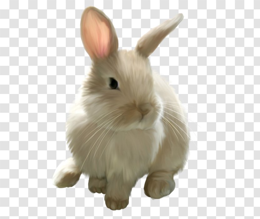 Easter Bunny Hare Clip Art - Rabbit Transparent PNG