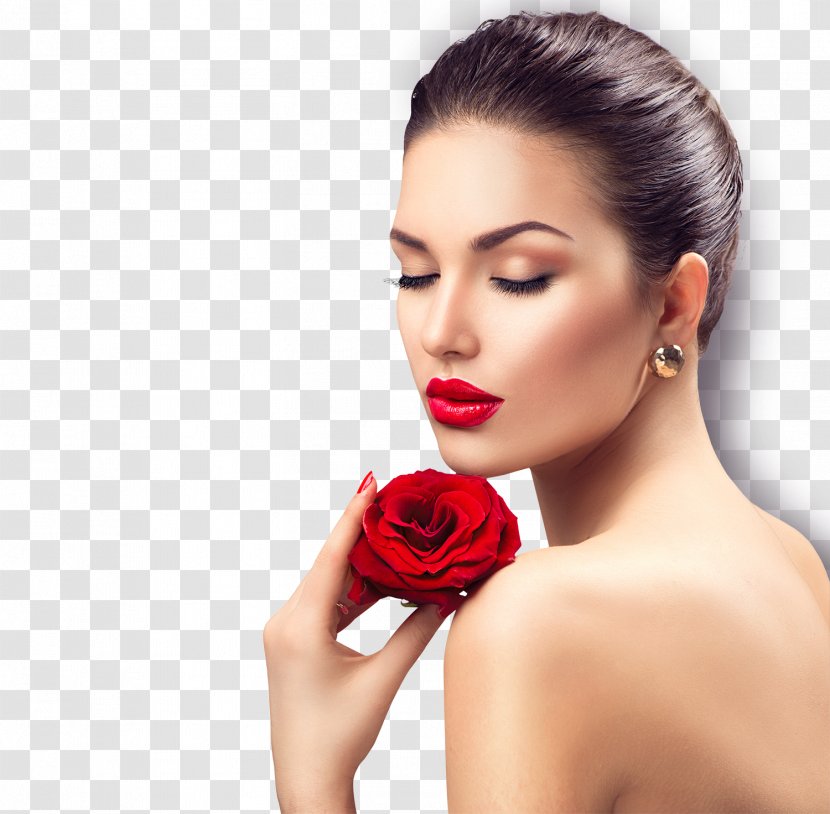 Stock Photography Royalty-free Rose Fotosearch - Hair Coloring - EYE CARE Transparent PNG