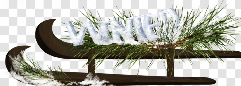 Sled Winter Icon - Flowerpot - Transport Sleds Transparent PNG