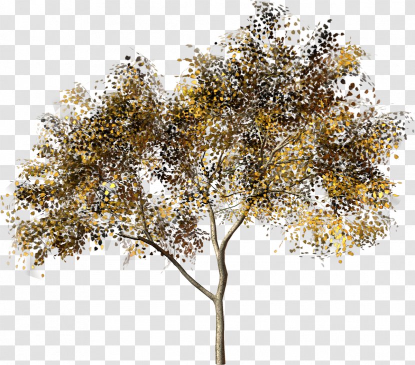 Tree Hero Plant Clip Art - October 14 Transparent PNG