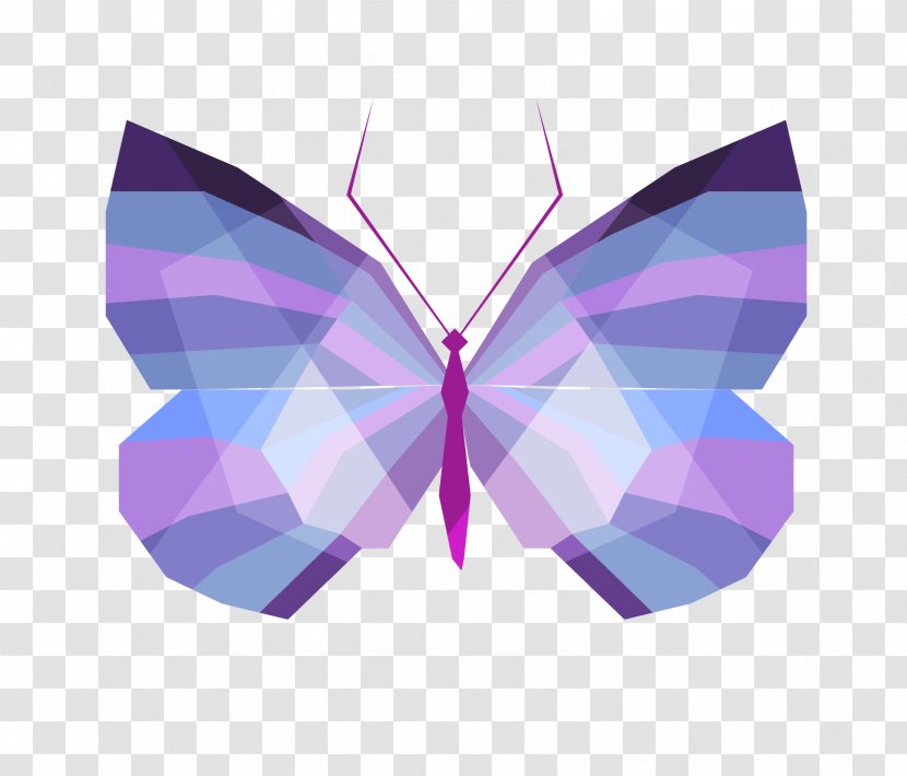 Geometry Vector Graphics Drawing Image Color - Lilac Butterfly Transparent PNG