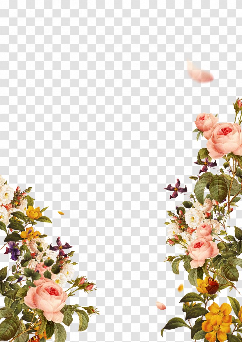 Flower Download Template - Petal - Flowers Transparent PNG