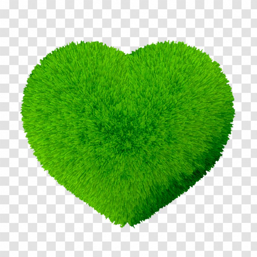Green - Heart-shaped Transparent PNG