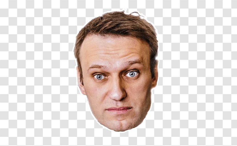 Alexei Navalny Politician Progress Party Leader Telegram - Eyebrow Transparent PNG