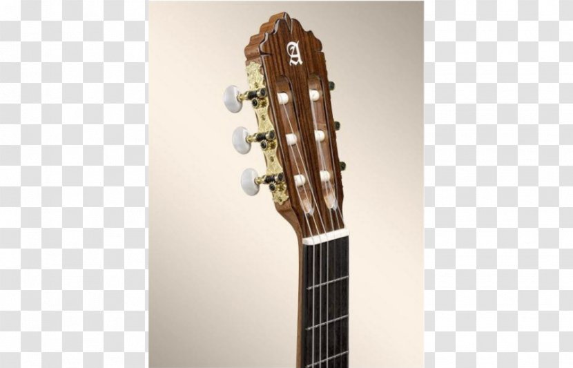 Cigar Box Guitar Classical Musical Instruments - Frame Transparent PNG