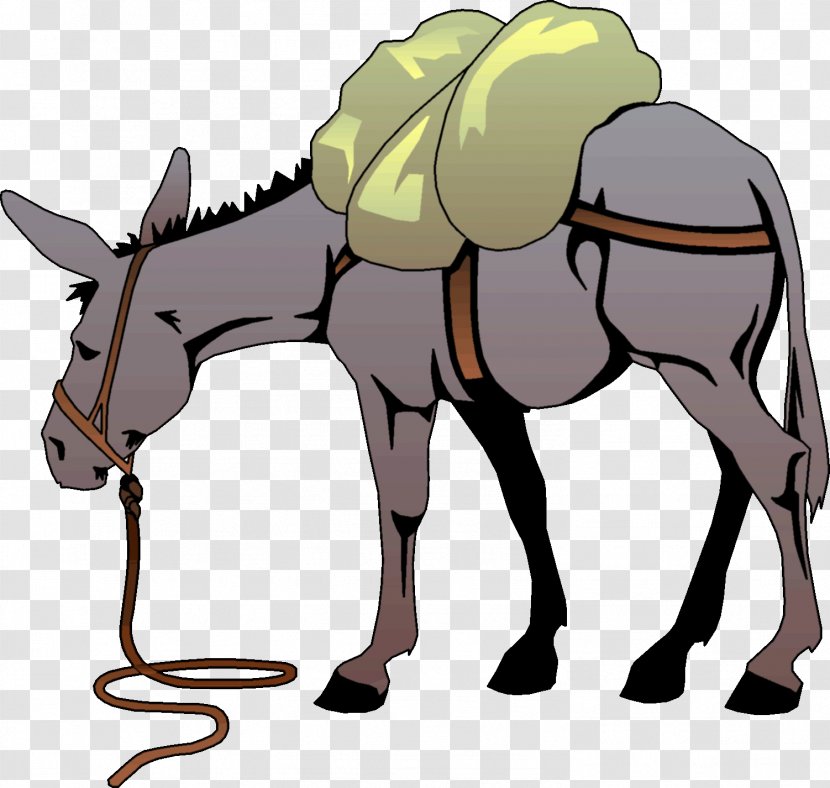 Mule Donkey Clip Art - Neck Transparent PNG