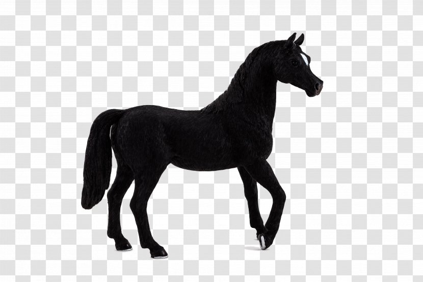 Arabian Horse Andalusian Stallion Friesian Mustang - Pony Transparent PNG