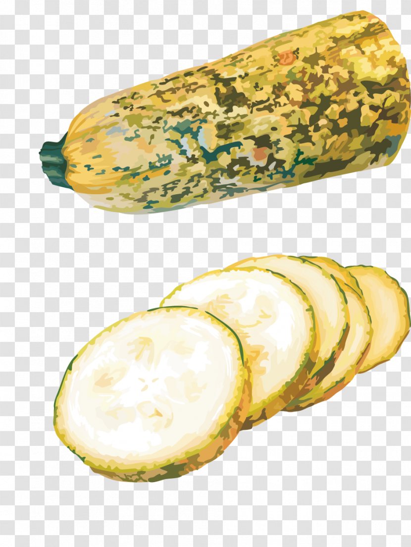 Cantaloupe Melon Vegetable - Slices Transparent PNG