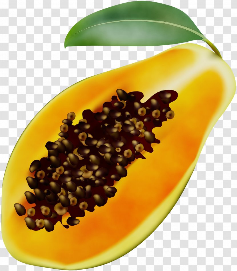 Papaya Fruit Food Plant Natural Foods - Wet Ink Transparent PNG