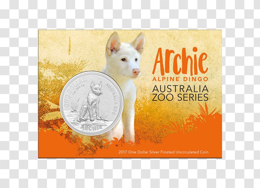 Australia Zoo Royal Australian Mint Dingo Koala Stock Horse - Photo Caption Transparent PNG
