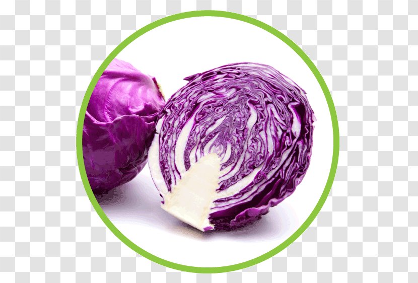 Red Cabbage Cauliflower Capitata Group Brussels Sprout Chou Transparent PNG